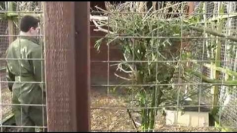 AC Chris Marchant RAF RTS Diary 23.mp4