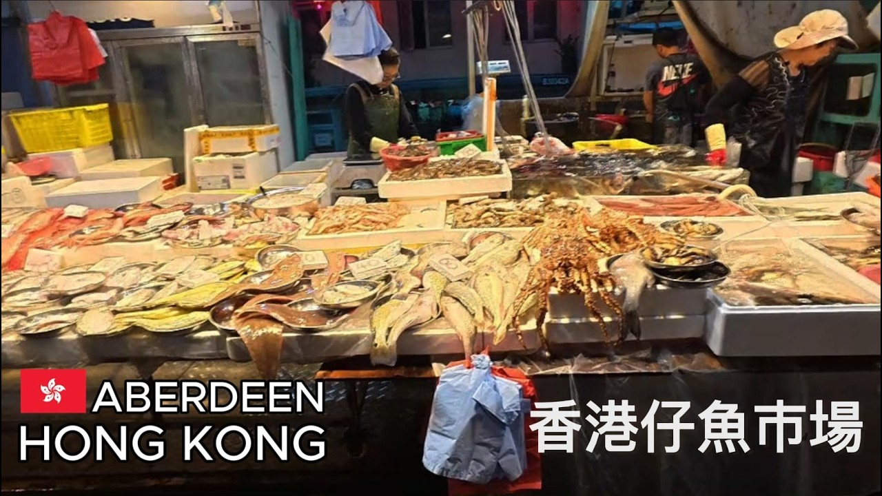 Hong Kong | Aberdeen Fish Market & Kaito Ferry | No talking【4K HDR】