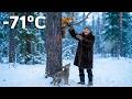 A Tiny Wolf Ran to an Old Woman for Help… And Found a Fox Cub Stuck in a Tree!