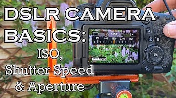 DSLR CAMERA BASICS: ISO, Shutter Speed & Aperture - going manual