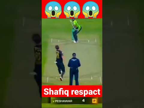 Great Six By Shafiq Shorts Cricket Shortsvideo 