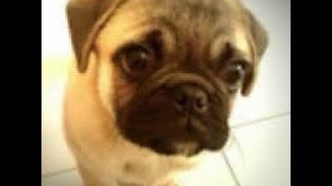 How to install iGameGuardian for IOS 9