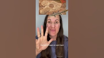 Fast Fossil Facts for Fossil Friday pt. 12 #paleontology #learn #shorts