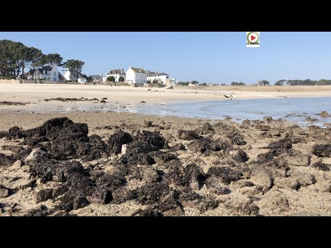 SAINT-PIERRE QUIBERON |