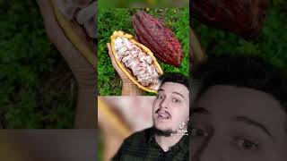 Taulant Abazaj Fakte Ja Si Behet Qokollada