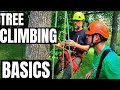 Tree Climbing Basics. What Equipment Do I Need To Climb a Tree / Basic Gear / Stan Dirt Monkey