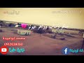 انت يا خالق النجوم سيدنا محمد النصري حالات واتساب انت يا خالق النجوم سيدنا محمد النصري حالات واتساب