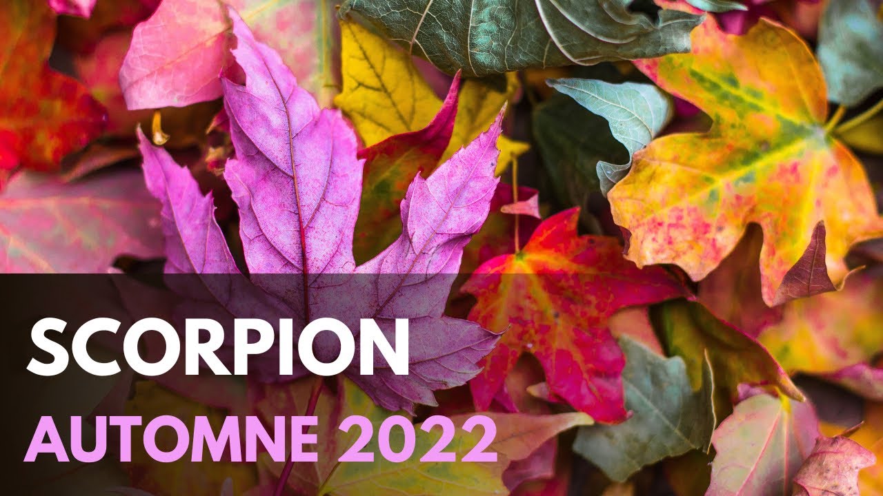 Horoscope Scorpion Dcembre 2022null