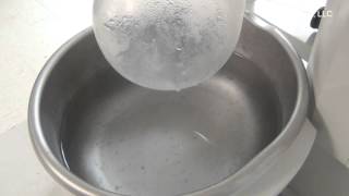 Buchi Rotavapor R-210 Rotary Evaporator #59381