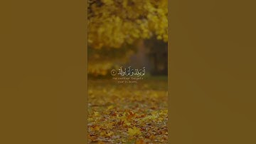 تلاوة هادئة للشيخ سعد الغامدي #quran