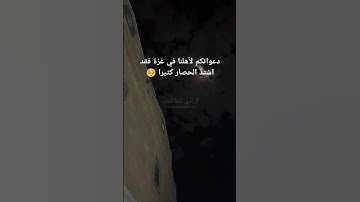 القارئ ياسر الدوسري 💚 #quran