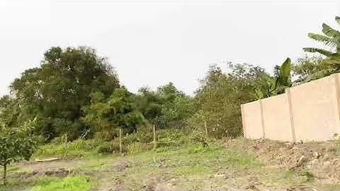 Bán đất vườn cây ăn trái Củ Chi, mặt tiền đường Nguyễn Thị Dón lộ giới 12m xã Nhuận Đức