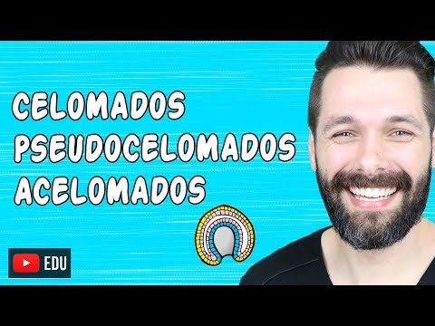 Vídeo: Per què és important el pseudoceloma?