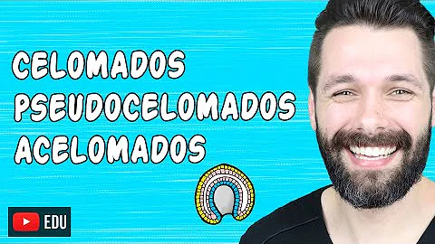 O que é mesoderma extra-embrionário?