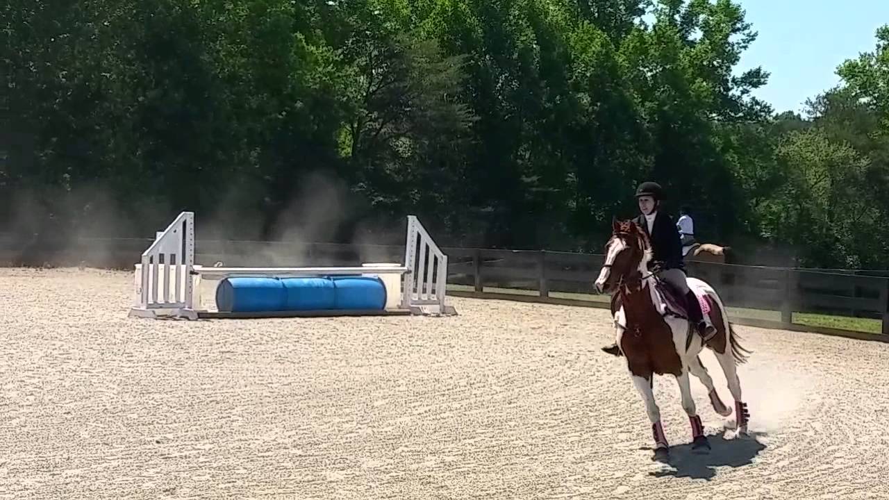 Beginner Novice Stadium Jumping - Oxer Farm (May 23, 2015) - YouTube