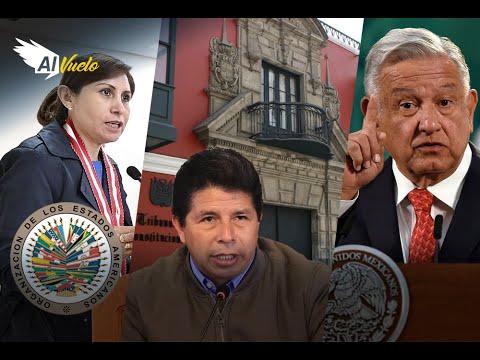 Patricia Benavides revela a OEA que Pedro Castillo tiene 51 carpetas fiscales  | Al Vuelo