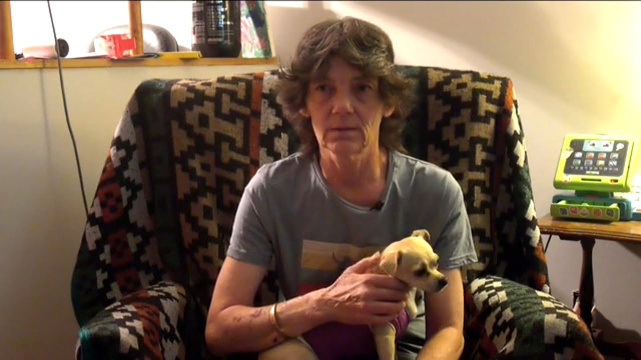 Two dogs viciously attack Calgary woman and her pet