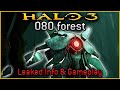 Halo 3 - Guardian Forest LEAKED INFO & Modded Gameplay (ft. RocketSloth & LateNightGaming)