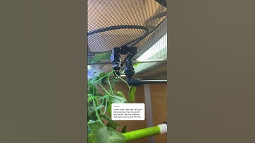 How to install misting systems! #reptiles #gecko #pets #snakes