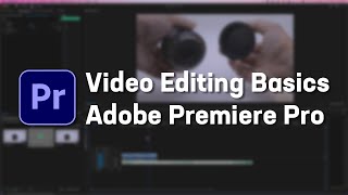Area 49 Workshop: Video Editing Basics in Adobe Premiere Pro Wealth