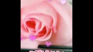 Cinta Palsu ( Lirik ) Mazuin Hamzah Cover