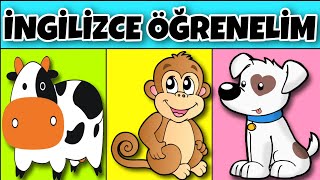 Çocuklar Için İngi̇li̇zce Hayvanlar Eğitici Ve Eğlenceli Bebek Ve Çocuk Oyun Videosu Çizgi Film