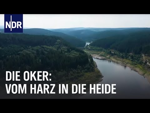 Die Oker: Wilder Strom in Niedersachsen | die nordstory | NDR Doku
