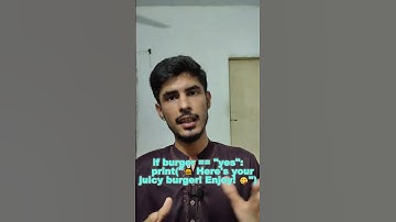 IF / ELSE WITH ZINGER BURGER🍔| #IF/ELSE  #python #ifelsestatement #analogy #burger #ifelse
