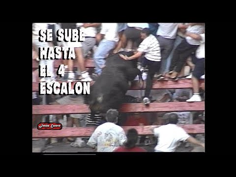 BOUS JESUS ESTEVE AÑO 1997