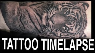 TATTOO TIMELAPSE | TIGER | CHRISSY LEE