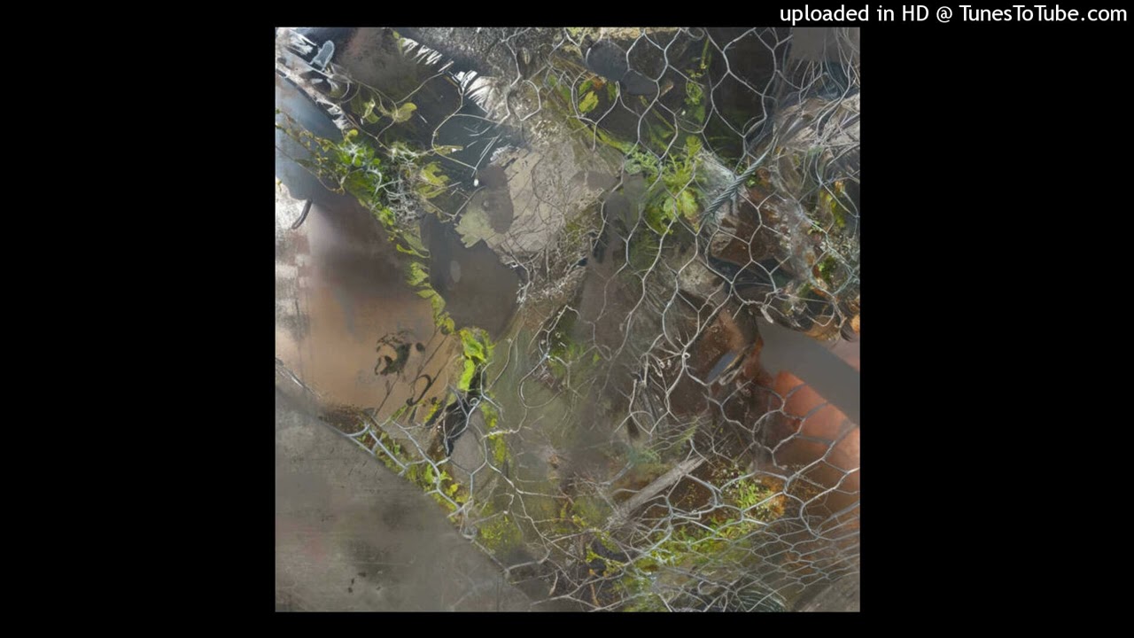 Watch Aedis - Extarnel 【Animalia Label】 on YouTube Watch Aedis - Extarnel 【Animalia Label】 on YouTube