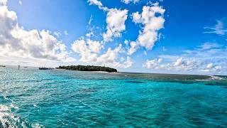 Snorkeling Adventure Green Island, Great Barrier Reef