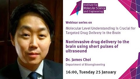IMSE Webinar: Noninvasive drug delivery to the brain using short pulses of ultrasound