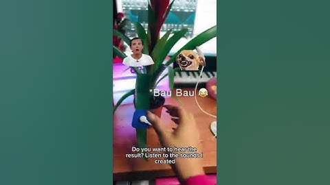 Janelle makes a plant play music using the Playtron MIDI controller connected to Ableton #musictech