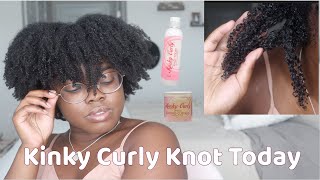 4C Wash N Go Feat Kinky Curly Knot Today 4C Wash And Go Series Part 3 Kinky Curl Knot Today Review
