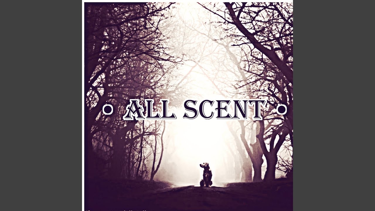 Watch All Scent on YouTube Watch All Scent on YouTube