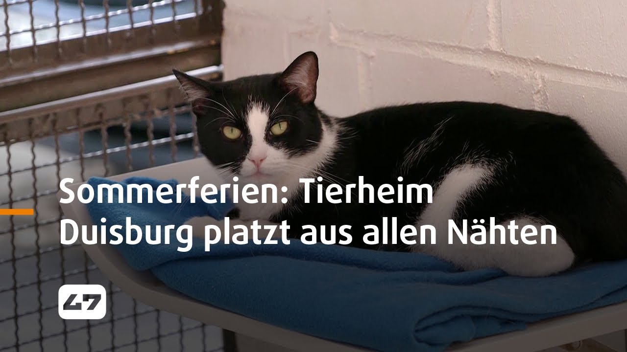 STUDIO 47 .live | SOMMERFERIEN: TIERHEIM DUISBURG PLATZT AUS ALLEN NÄHTEN