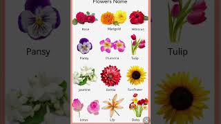 Flower 🌺 Name  || फुल🌹 का नाम || #Global Education Wave