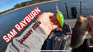 Sam Rayburn January BASS FISHING