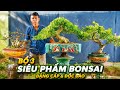Hải Châu, Mai Chiếu Thủy, Nguyệt Quế, Linh Sam, Me - chào bán 28/5 QUỐC VINH