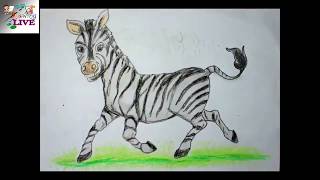 zebra draw easy drawing step drawings