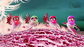 Woodpecker Hit By A Branch Effects Sponsored By Preview 2 Frank V2