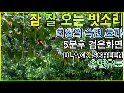 잠 잘 오는 빗소리 최상의 숙면 효과 5분후 검은화면 으로 변하는 수면유도 비오는소리