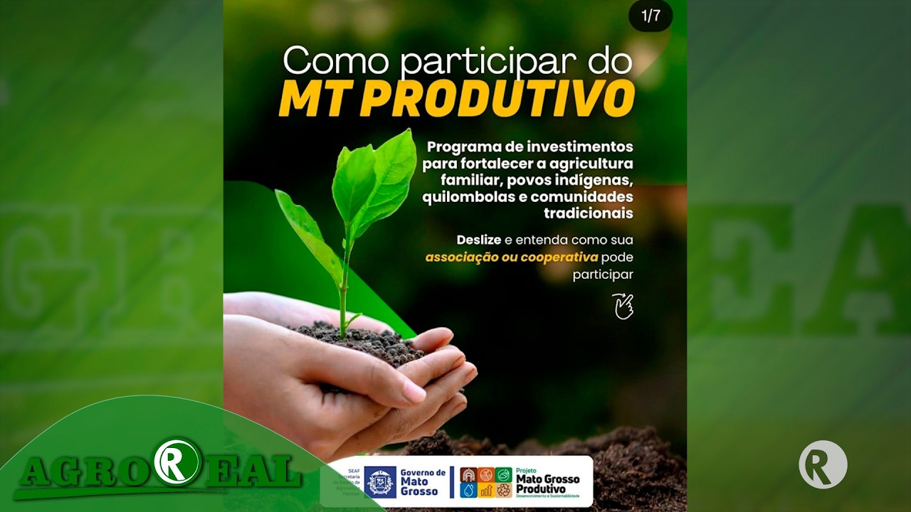 Programa MT Produtivo: capacitação, estrutura e incentivo aos produtores