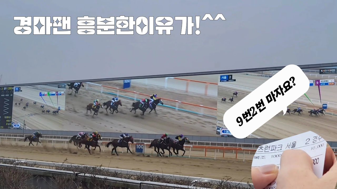 경마장 처음와서 마췄다고 난리가 났읍니다^^(어디래요?)