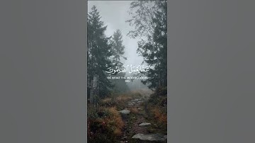 #قرآن 🤍🤍🤍 #راحة_نفسية #تلاوة_خاشعة #سورة_ابراهيم