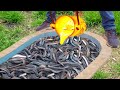 Experiment lava vs electric eels in pool
