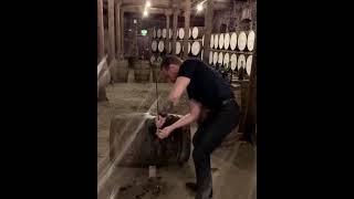 Conor McGregor Drinks Proper 12 Out Of The Barrel