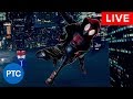 🔴 LIVE Replay - Photoshop Compositing Tips & Tricks - Spider-Man Spider-Verse Photo Manipulation