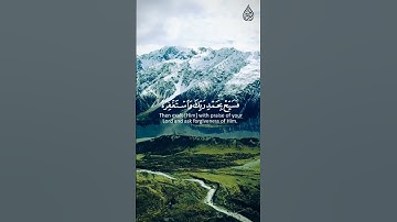 سورة النصر للقارئ أسامة فتحى